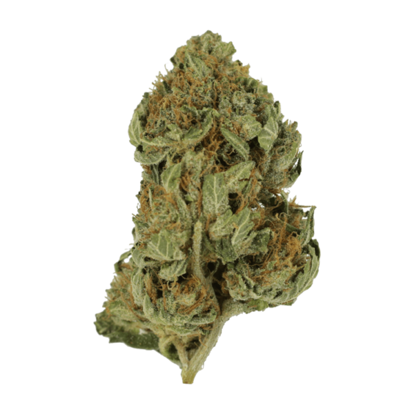 Bubblegum – 1 ounce | Canna Cabana Canada