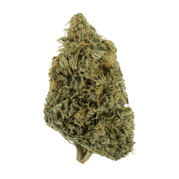 NYC Diesel | Canna Cabana Canada