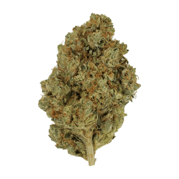 Nepalese | Canna Cabana Canada
