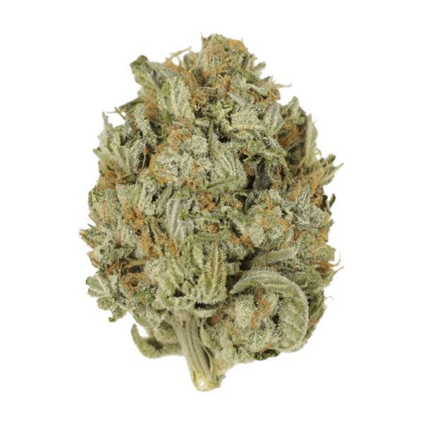 Blue Dream (Popcorn) | Canna Cabana Canada