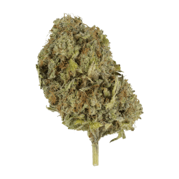 God’s Green Crack | Canna Cabana Canada