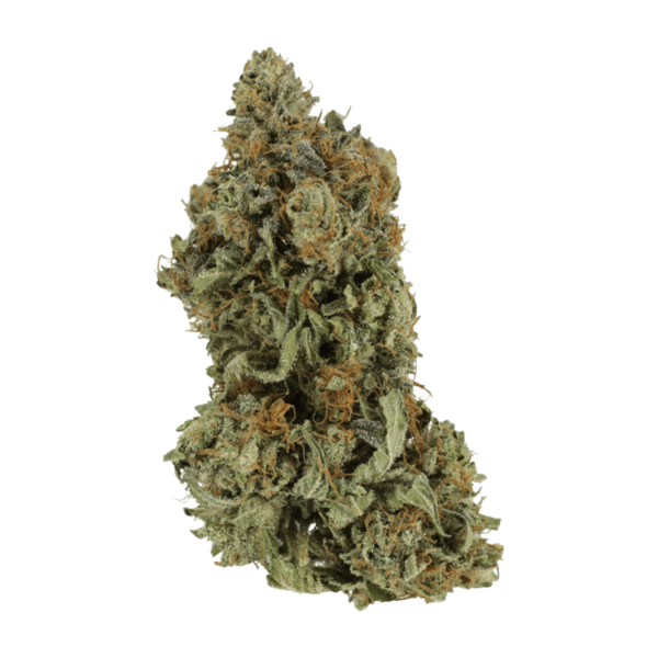 Bruce Banner #3 | Canna Cabana Canada