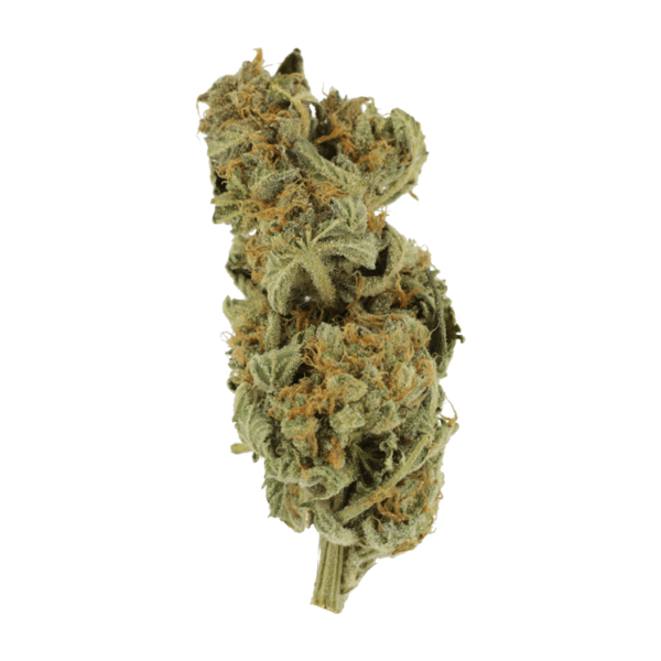 Gorilla Glue | Canna Cabana Canada