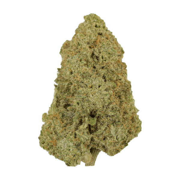 Super Silver Haze | Canna Cabana Canada