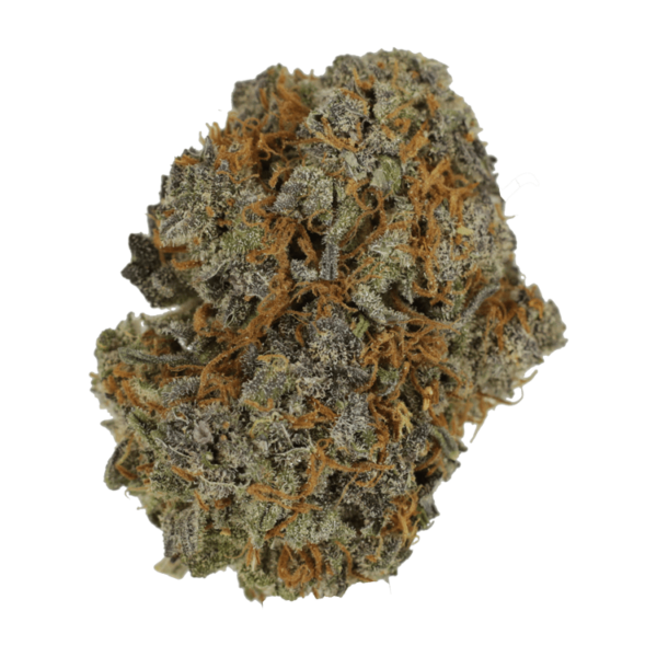 Jack Herer 1 Ounce | Canna Cabana Canada