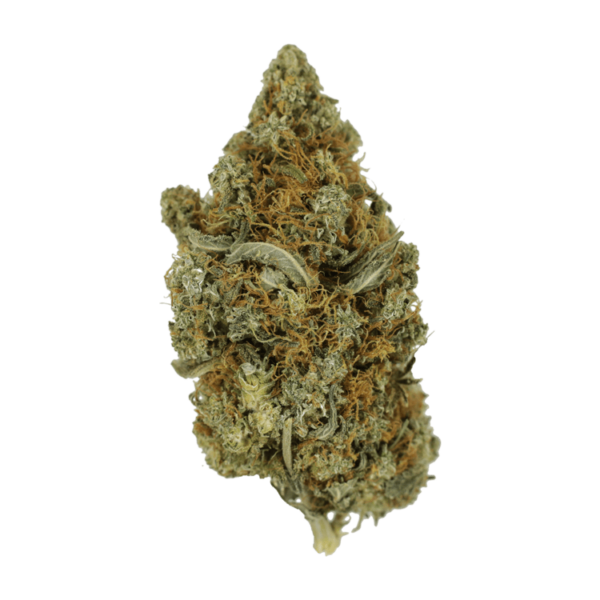 Jack Herer 1 Ounce | Canna Cabana Canada