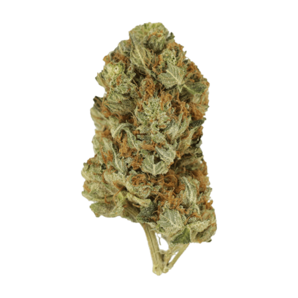 Jet Fuel | Canna Cabana Canada