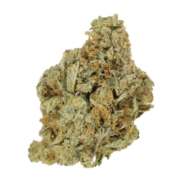 Jet Fuel | Canna Cabana Canada