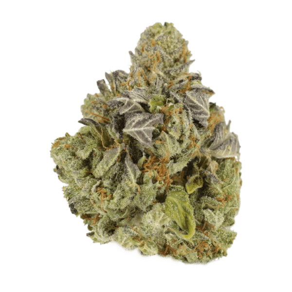 Jet Fuel | Canna Cabana Canada