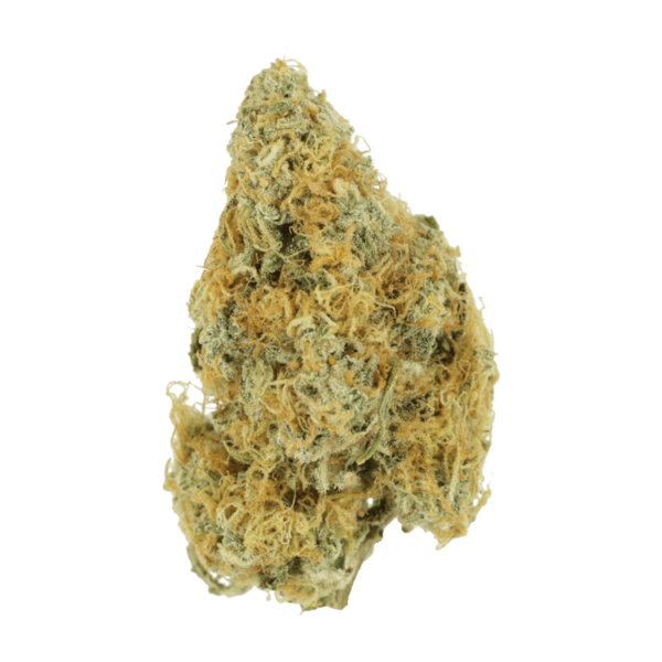 Alien OG (Popcorn) – 2OZ/$69 | Canna Cabana Canada