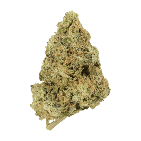 Zombie OG | Canna Cabana Canada