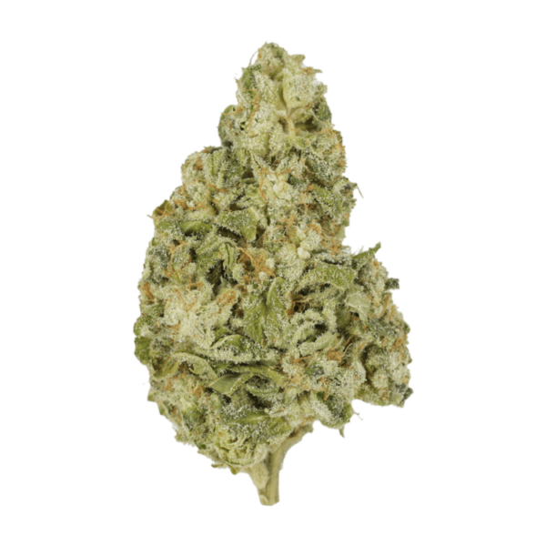 Zombie OG | Canna Cabana Canada