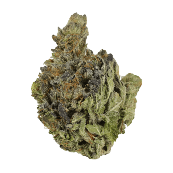 Chocolope | Canna Cabana Canada