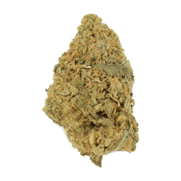 Zombie OG | Canna Cabana Canada