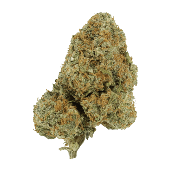Blue Rhino | Canna Cabana Canada