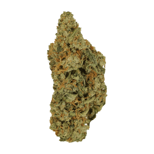 Mimosa | Canna Cabana Canada