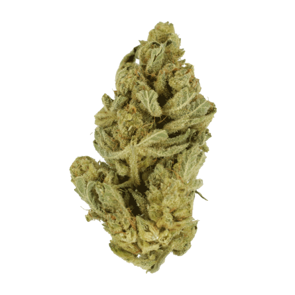 Hindu Kush – 7g | Canna Cabana Canada