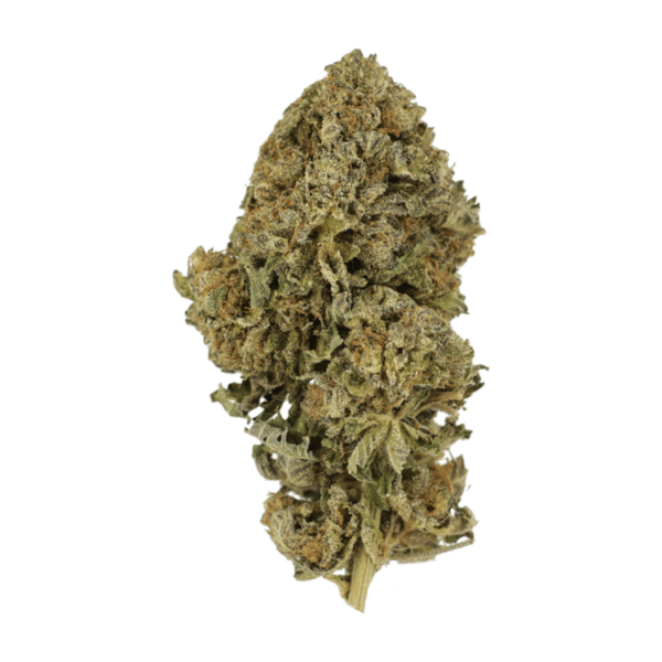 Durban Poison | Canna Cabana Canada