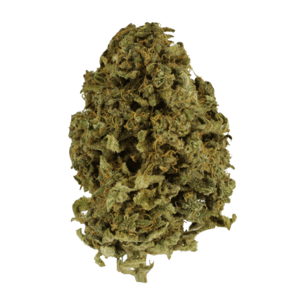Nebula | Canna Cabana Canada