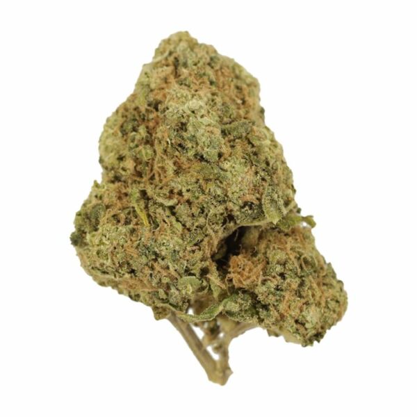 Tangerine Dream | Canna Cabana Canada