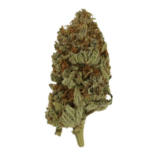 Congo | Canna Cabana Canada