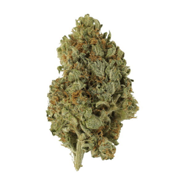 Sugar Cookies | Canna Cabana Canada