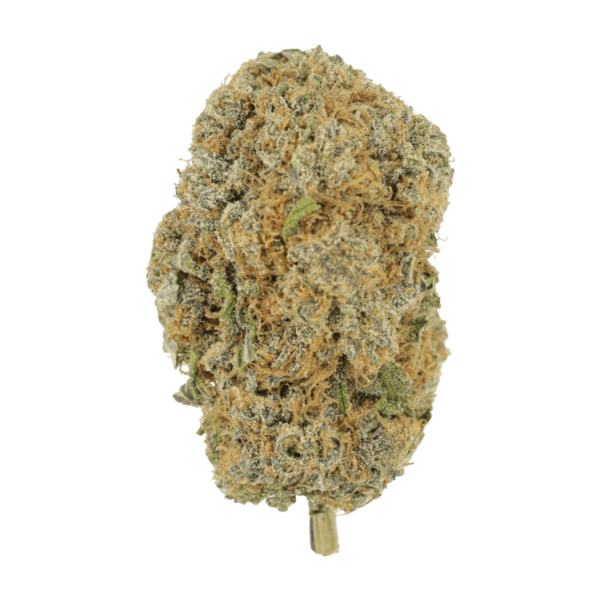 Pine Tar - | Canna Cabana Canada