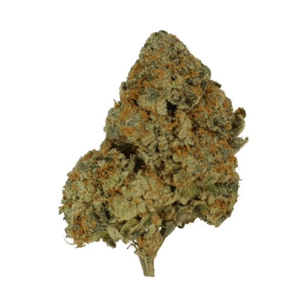 9lb Hammer | Canna Cabana Canada