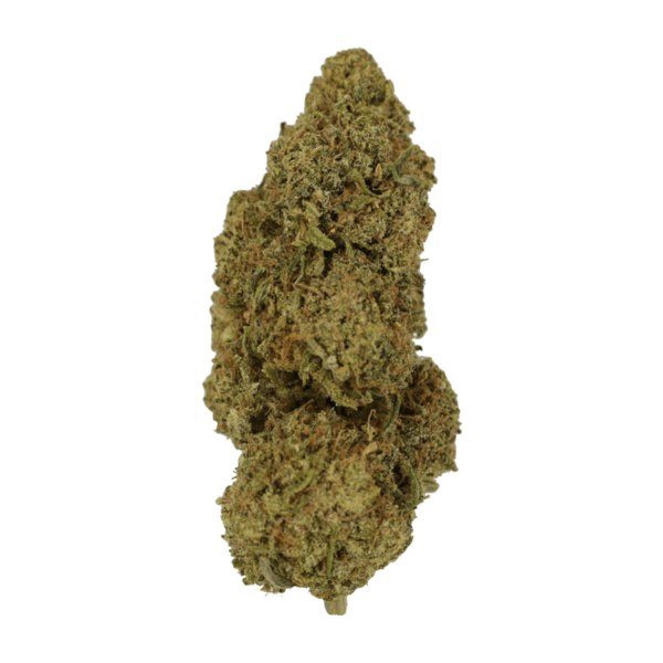 9lb Hammer | Canna Cabana Canada