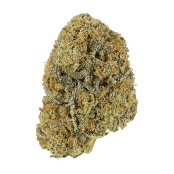 Maui Wowie | Canna Cabana Canada