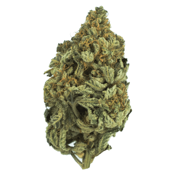 Bakerstreet | Canna Cabana Canada
