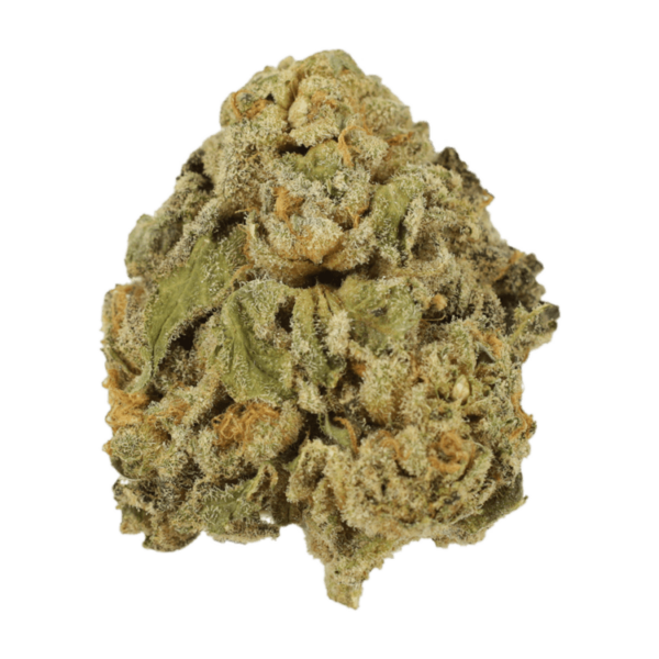 Maui Wowie | Canna Cabana Canada