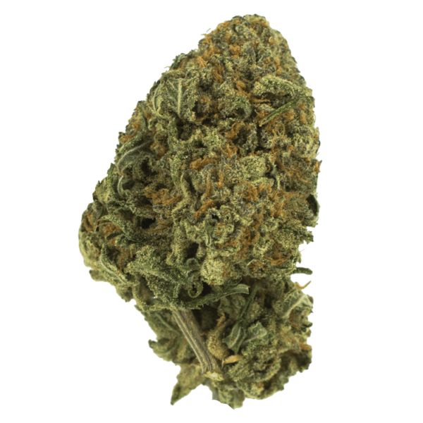 Black Nuken | Canna Cabana Canada