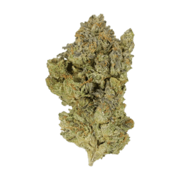 Golden Goat | Canna Cabana Canada