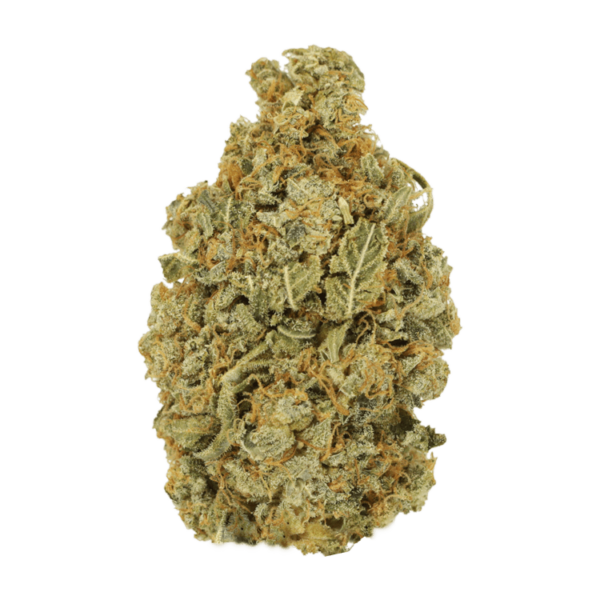 Maui Wowie | Canna Cabana Canada