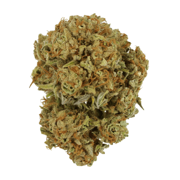 Maui Wowie | Canna Cabana Canada