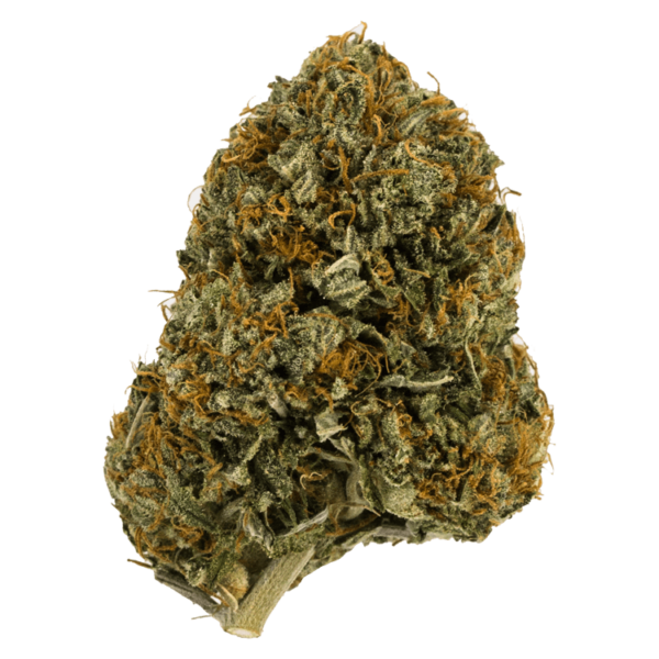 Wifi OG – 1 ounce | Canna Cabana Canada