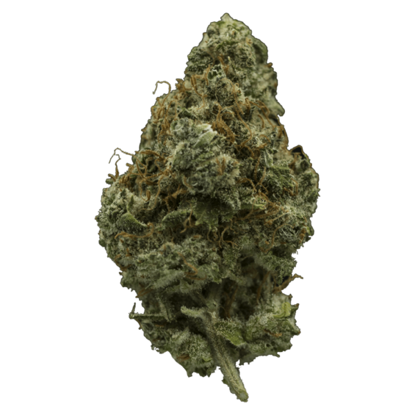 El Fuego | Canna Cabana Canada