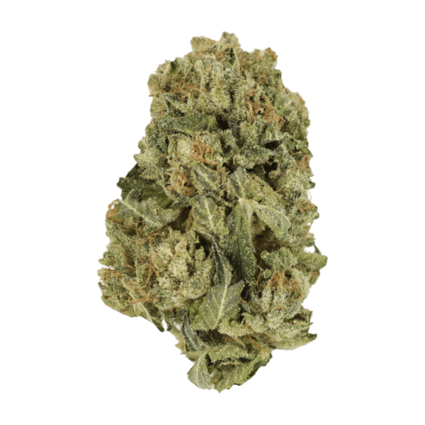 Black Domina | Canna Cabana Canada