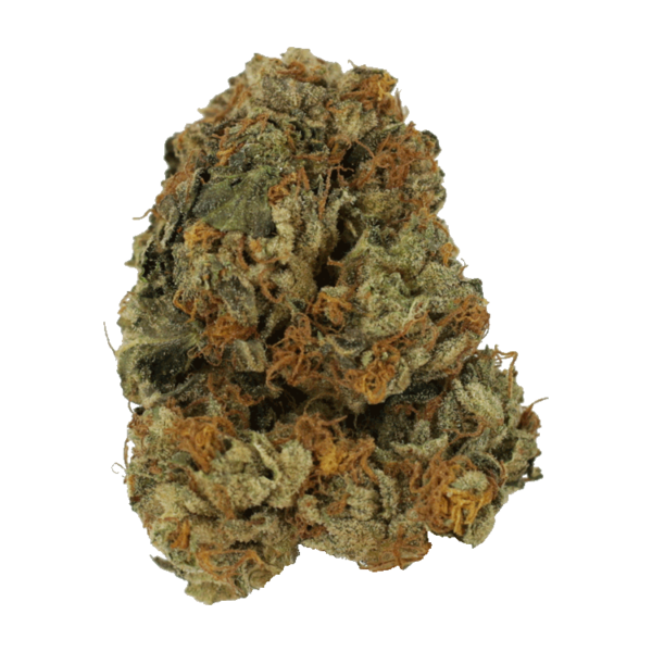 Dolato – 1OZ | Canna Cabana Canada