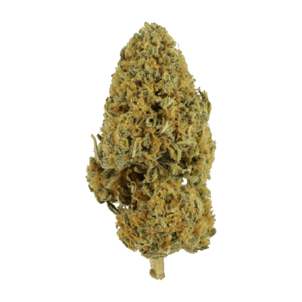 Grapefruit – 1 ounce | Canna Cabana Canada