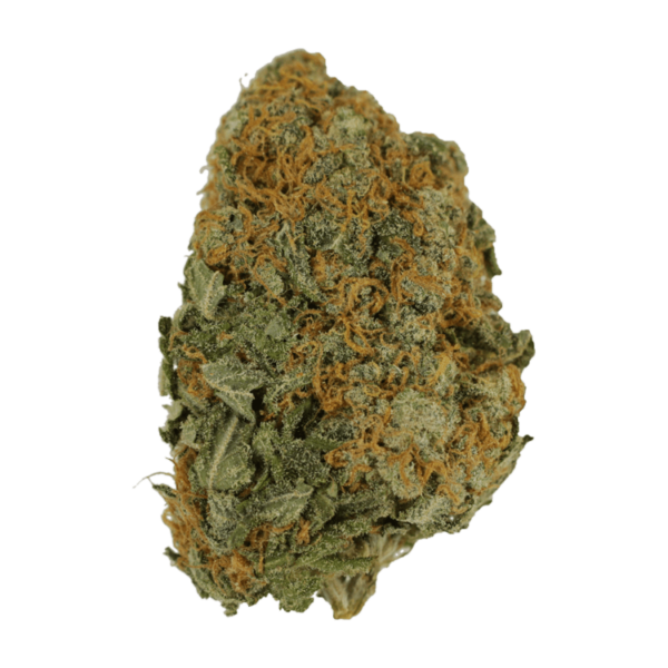 Master Kush Ultra | Canna Cabana Canada