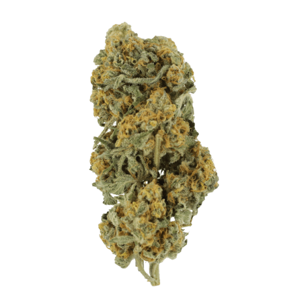 Miracle Alien Cookies | Canna Cabana Canada