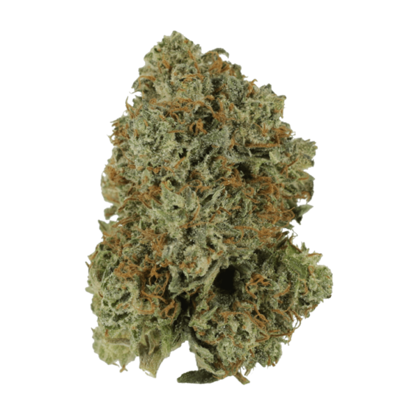 Pink Rockstar | Canna Cabana Canada