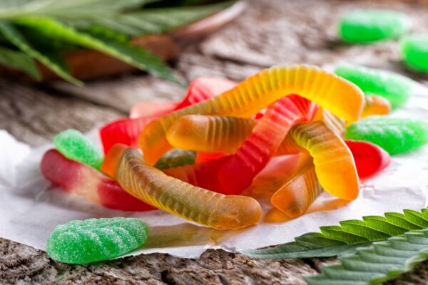 MOTA Edibles Bundles – SAVE 10% | Canna Cabana Canada