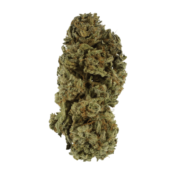 Black Kush – 1 ounce | Canna Cabana Canada