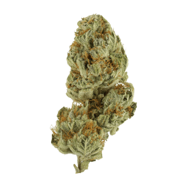 Strawberry Glue | Canna Cabana Canada