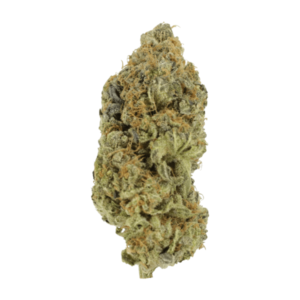 Critical Widow | Canna Cabana Canada