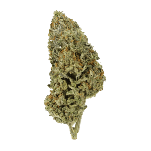 Super Silver Sour Diesel | Canna Cabana Canada