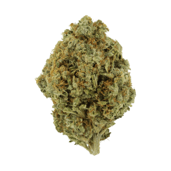 Orange Barb | Canna Cabana Canada